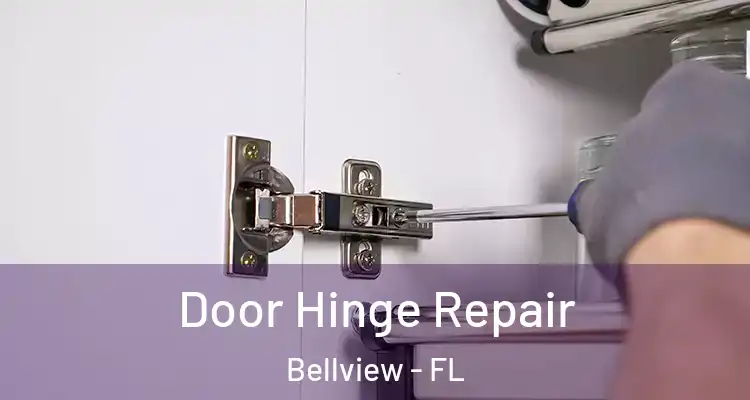 Door Hinge Repair Bellview - FL