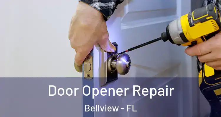  Door Opener Repair Bellview - FL
