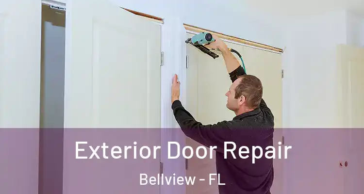 Exterior Door Repair Bellview - FL