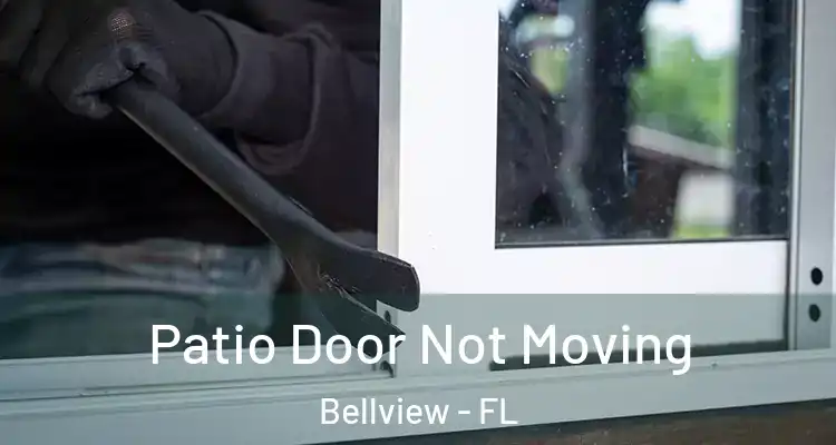  Patio Door Not Moving Bellview - FL